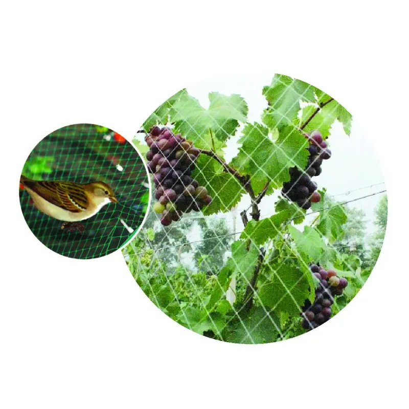 Green-it Fuglenet 4x5