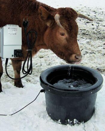 Vandtrug Frostfri Med Transformator