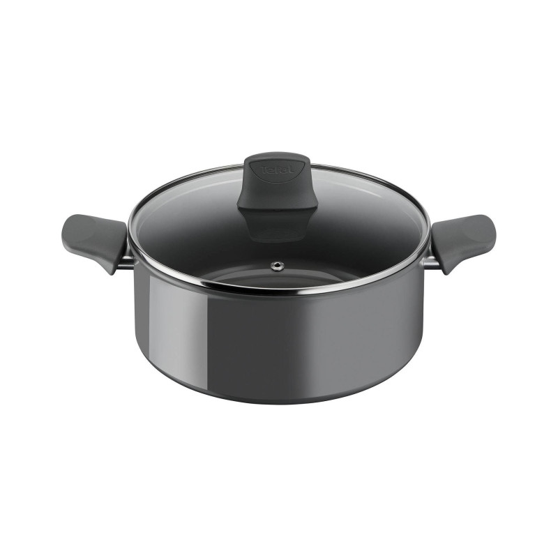 Tefal Renewal ø24 Gryde