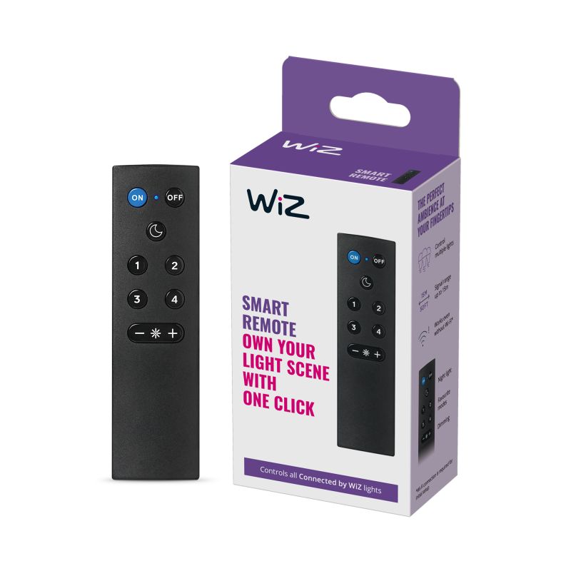 Wiz Remote Control Batteries