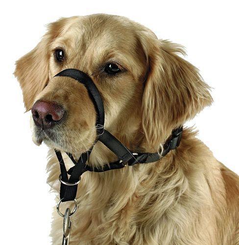 Antitræksele Snudeomfang Max 24 Cm