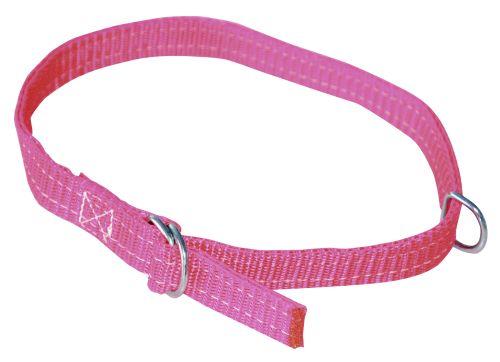 Fårehalsbånd 20mm 60cm Rød