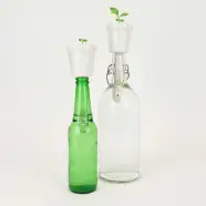 Gift Republic Botanical Bottles Bonsai Plante