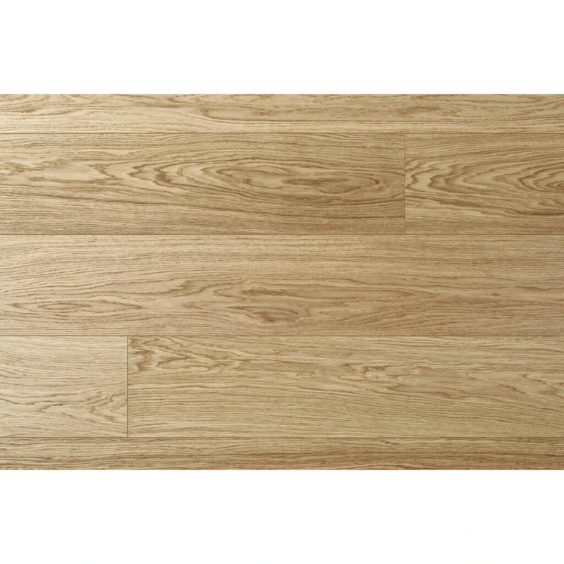 Moland  Super Eg-2436359 10403561