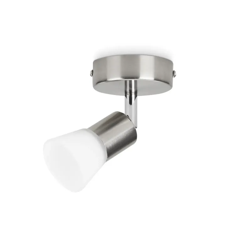 Philips Decagon Single Spot Mat Krom
