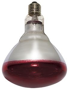 Varmepære Philips Rød 250