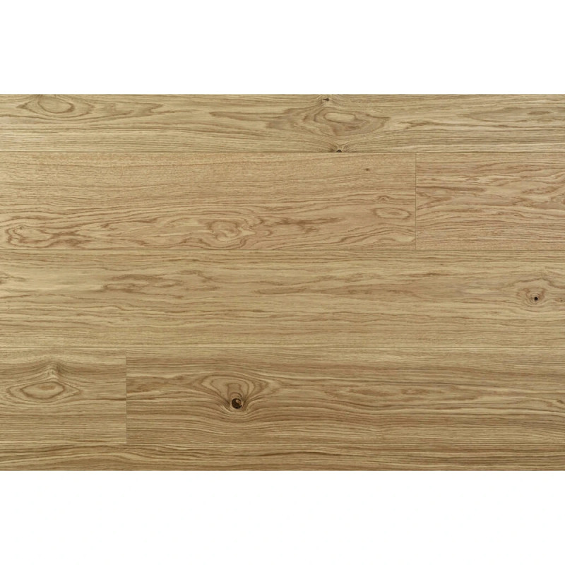 Moland  Super Eg-2523209 10403661