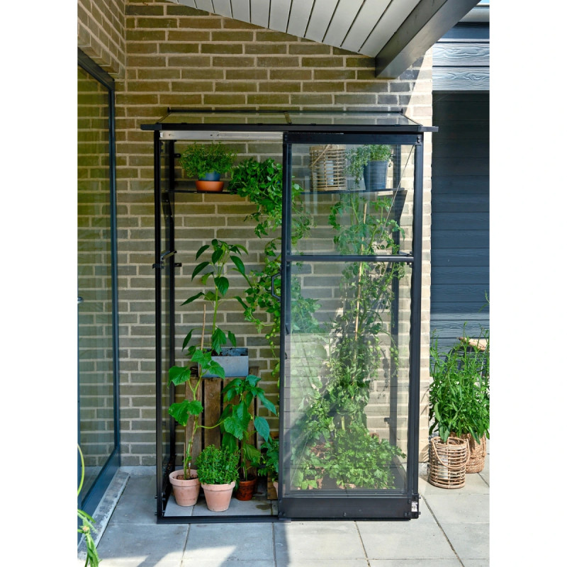 Halls Drivhus Qube Lean-to 42 Sort      Mm Hærdet Glas  F09934